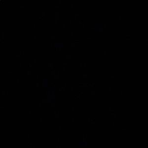 Meet your Posher, Sunbo